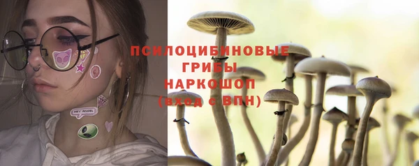 соль ск Бронницы