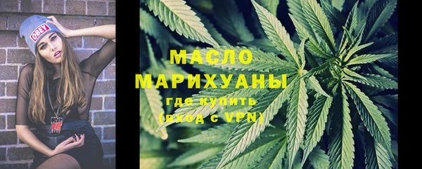 индика Верея