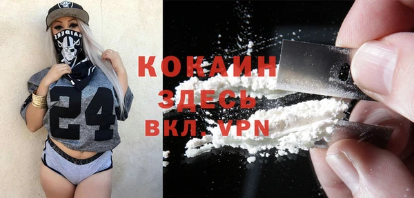 индика Верея