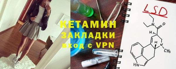 индика Верея